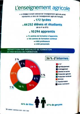 L enseignement catholique en chiffres page 0013